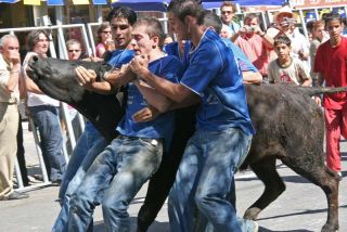 Besøg i Provence 2007